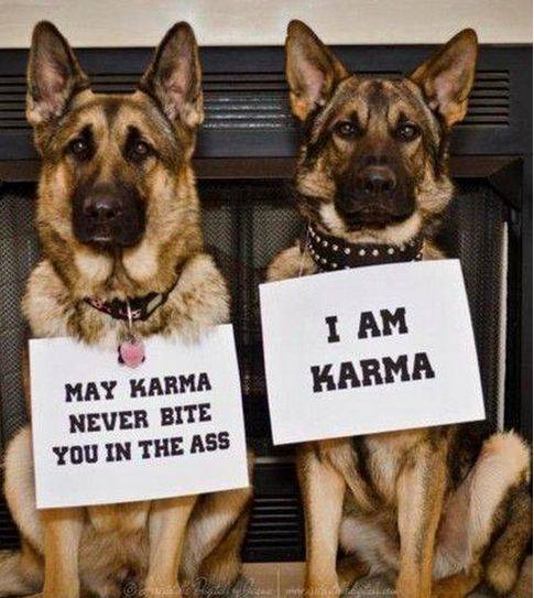 Please share your funny memes or pictures.