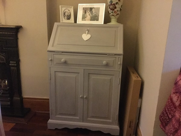 Has anyone successfully painted their furniture?