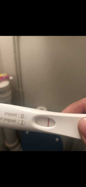 FRER in evening.