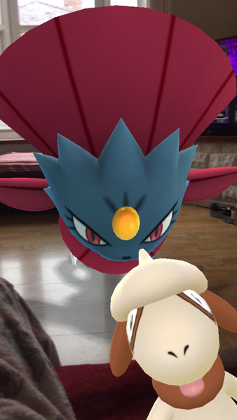 So Treecko, he’s gotta be so Treecko! Pokemon Go #23