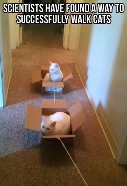 Please share your funny memes or pictures.