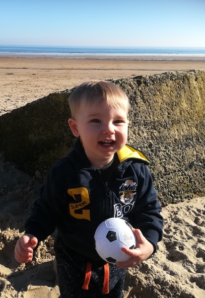 To clap my hands and skip about in a elephantine manner?