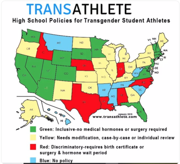Powerlifting federation states that 'male development' due to androgens in puberty creates irreversible advantages