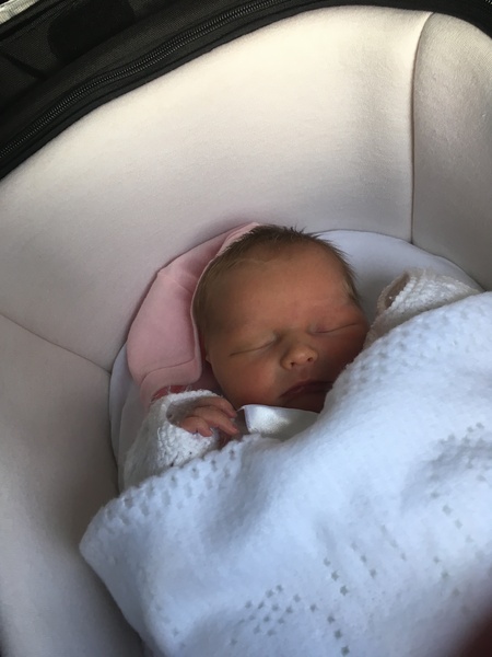 The March-ers 2019 - #9 Meet the Babies