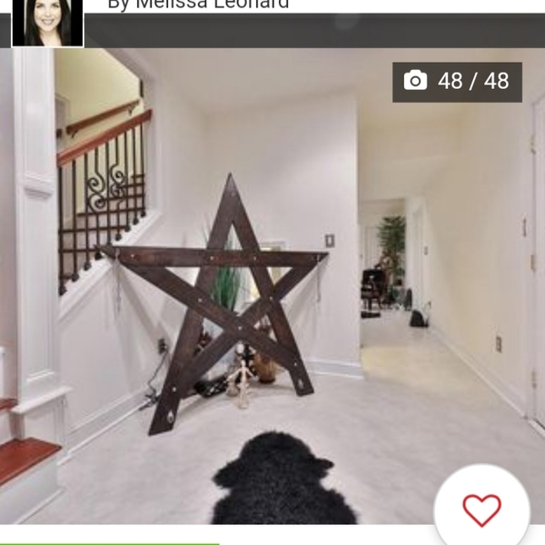 Never seen anything like this on Rightmove!