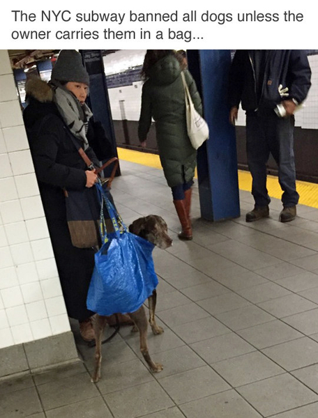 Please share your funny memes or pictures.