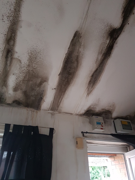 Is this "normal wear and tear" on a rental property
