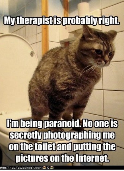 Please share your funny memes or pictures.