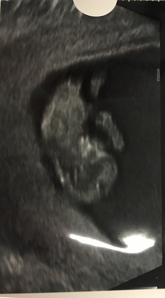 September 2019 Babies #2