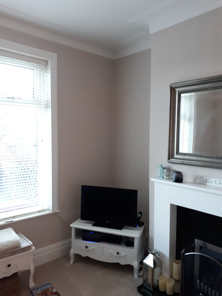 Looking for light taupe/warm neutral paint for walls