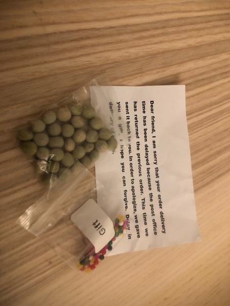 Allotment?Veg Patch Thread 13! Are we weathering the weather?