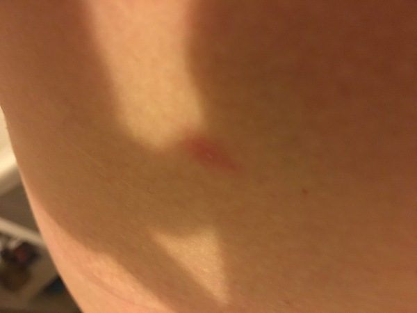 September 2019 Babies - Thread #3