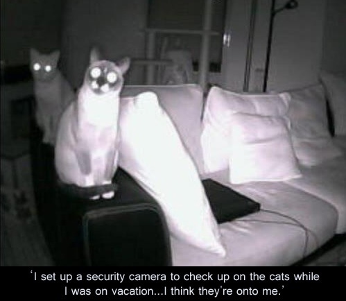 Please share your funny memes or pictures.