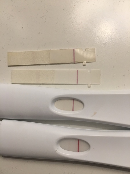 9dpo faint line on First Response Rapid Results