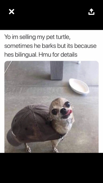 Please share your funny memes or pictures.