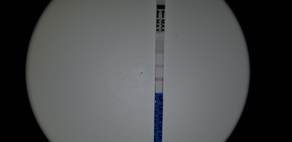Ovulation test