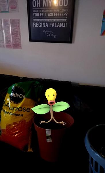 So Treecko, he’s gotta be so Treecko! Pokemon Go #23