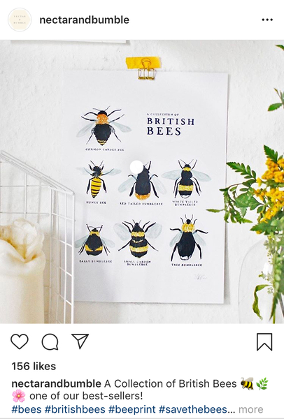 To ask you to help the bees? 🐝