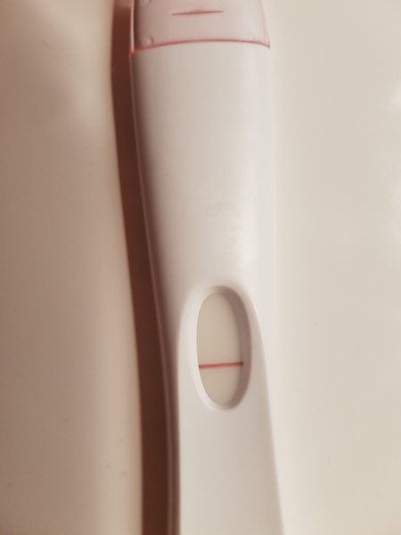 Cycle Day 46 Negative Test!?
