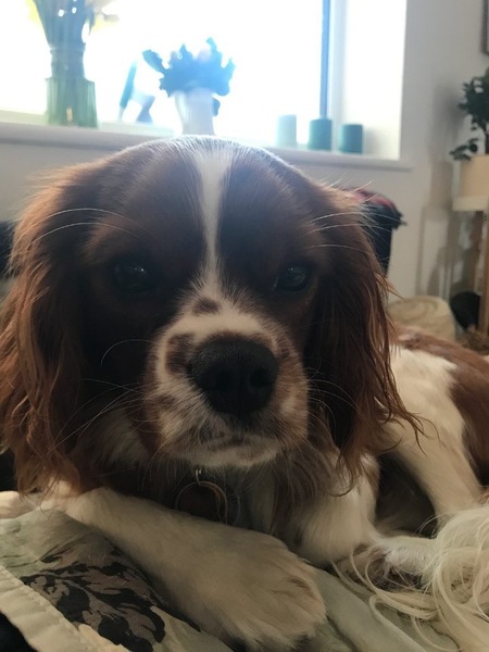 New year, new thread - cancer support thread 68 - join us if you have cancer, or are waiting for cancer-related tests