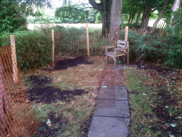 Rabbit housing and runs