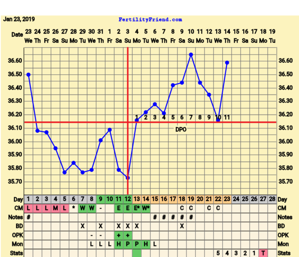 BFP Winter Wonderland, full of babydust and positive thoughts on the journey to our BFP.