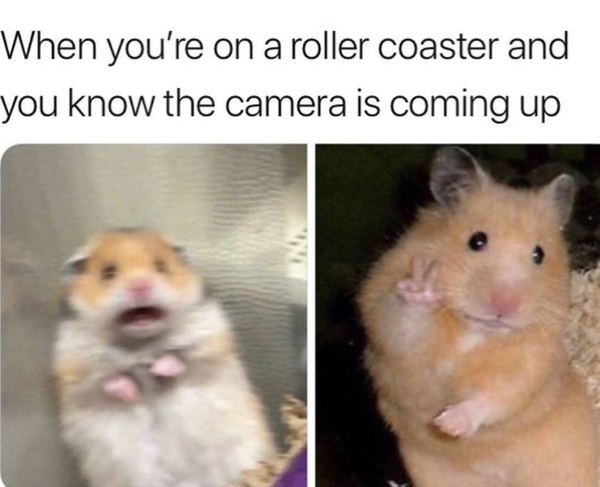 Please share your funny memes or pictures.