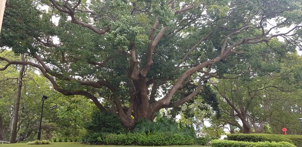 Any Witches Here? Part 6