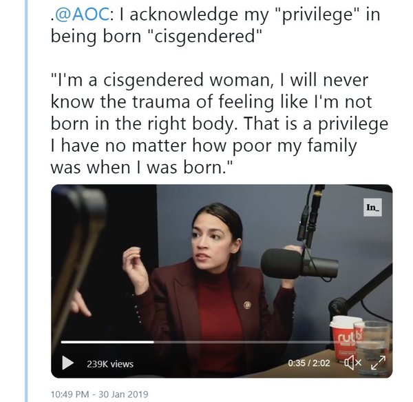 One politician says 'transgender is not a mental disorder' while another says 'being cisgender is a privilege'