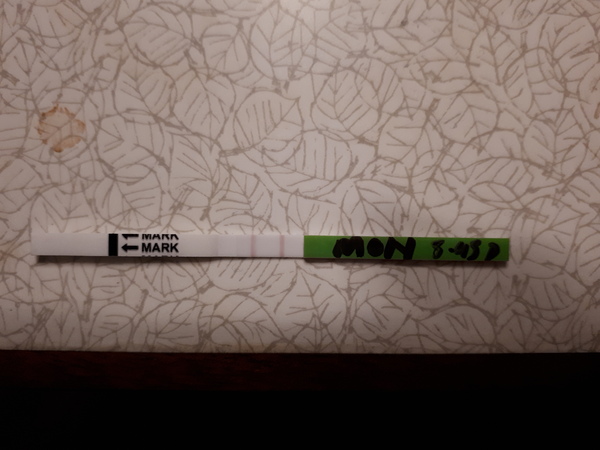 Is this a positive OPK?