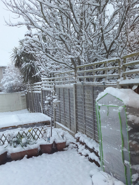 Snow watch winter 2018/19 part 2