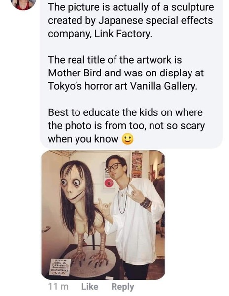 To wonder if Momo actually exists