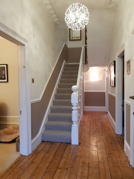 Is this hall colour too dark??