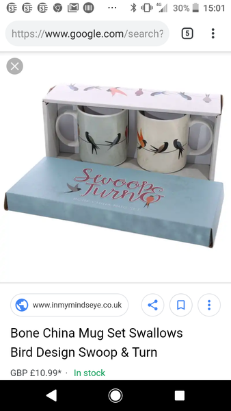 Has anyone seen these mugs anywhere? Birds on a wire design