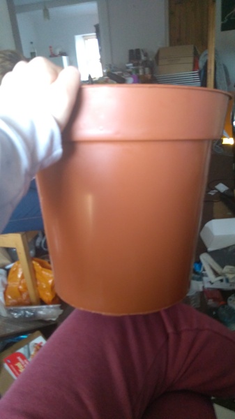 29th March "Grow your own" newcomers welcome here