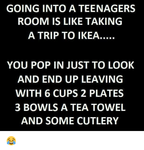 Roses are red, we like Becks Blue, Tryers to be Dryers push on through. 2019 will be our Valentine.