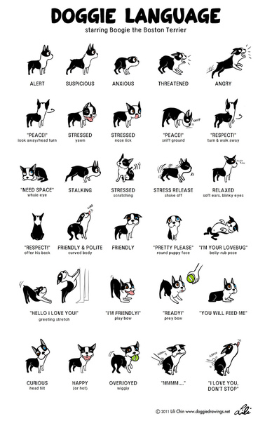 To think the advice to rehome aggressive dogs is irresponsible?
