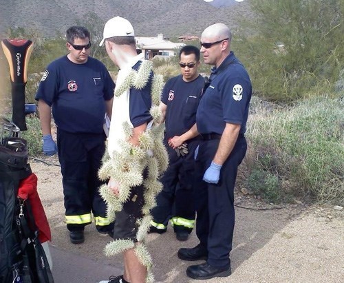 Please share your funny memes or pictures.