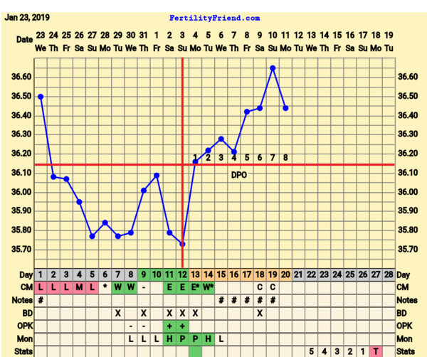 BFP Winter Wonderland, full of babydust and positive thoughts on the journey to our BFP.