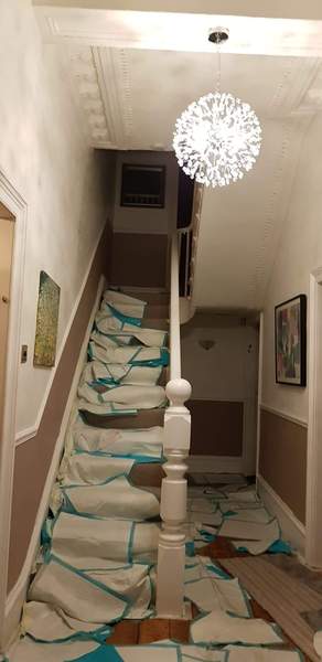 Is this hall colour too dark??