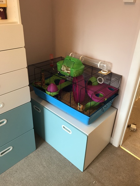 To ask for your amazing box room solutions?