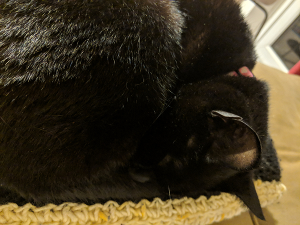 Westminstenders: The Rebellion