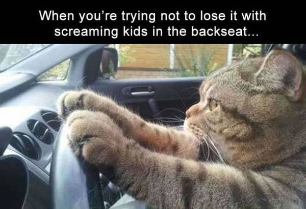 Please share your funny memes or pictures.