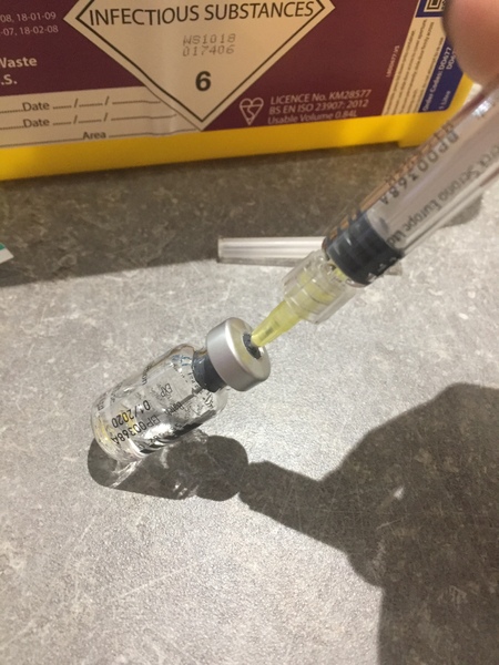 January/ February IVF/ICSI