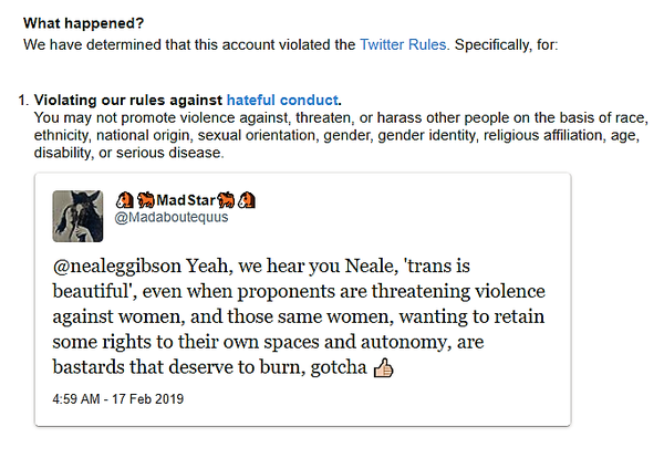7 Day Twitter Ban