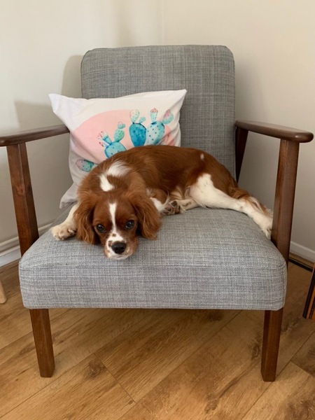 It's not summer yet, but we are on cancer support thread 69. Join us if you've got cancer or are having cancer-related tests.