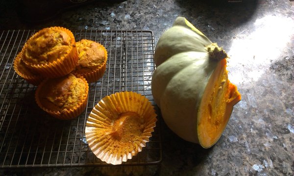 Westminstenders: Waiting for Sanity