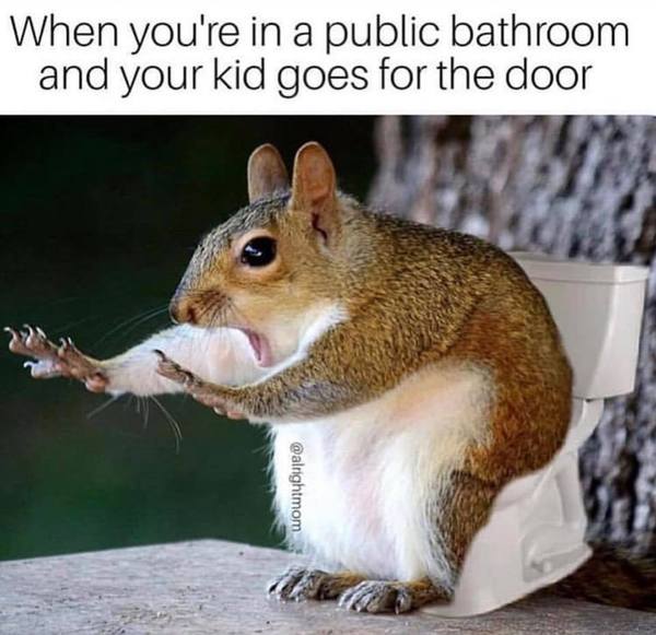 Please share your funny memes or pictures.