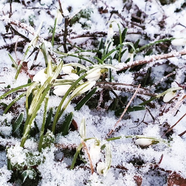 Support For Anyone Coping With The Loss Of A Parent