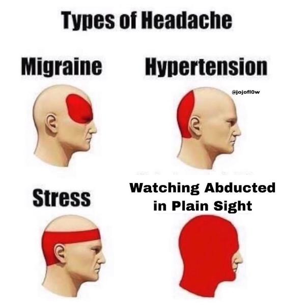 Abducted in plain sight - Netflix - WTF?